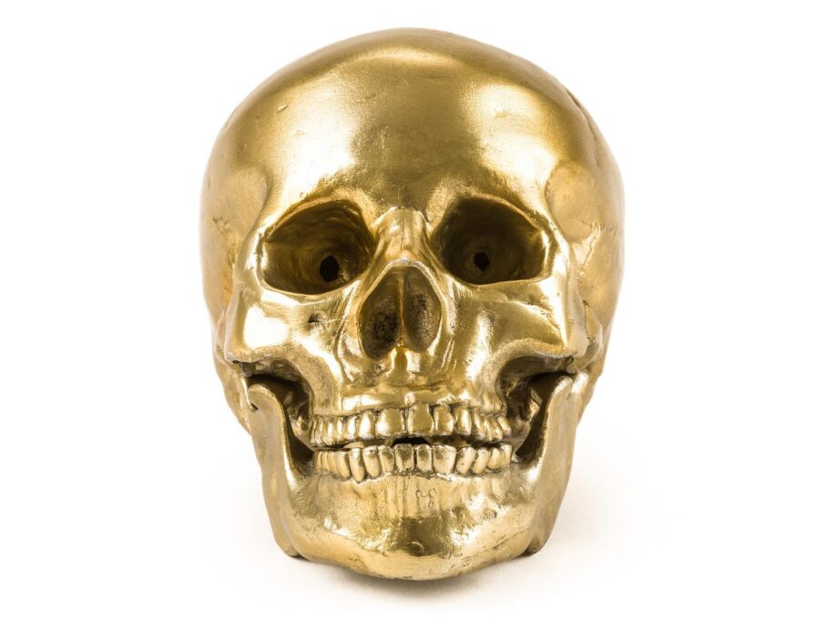 Human Skull Decorative Object Seletti