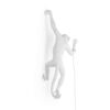 The Monkey Lamp Hanging Outdoor Wall Lamp Seletti