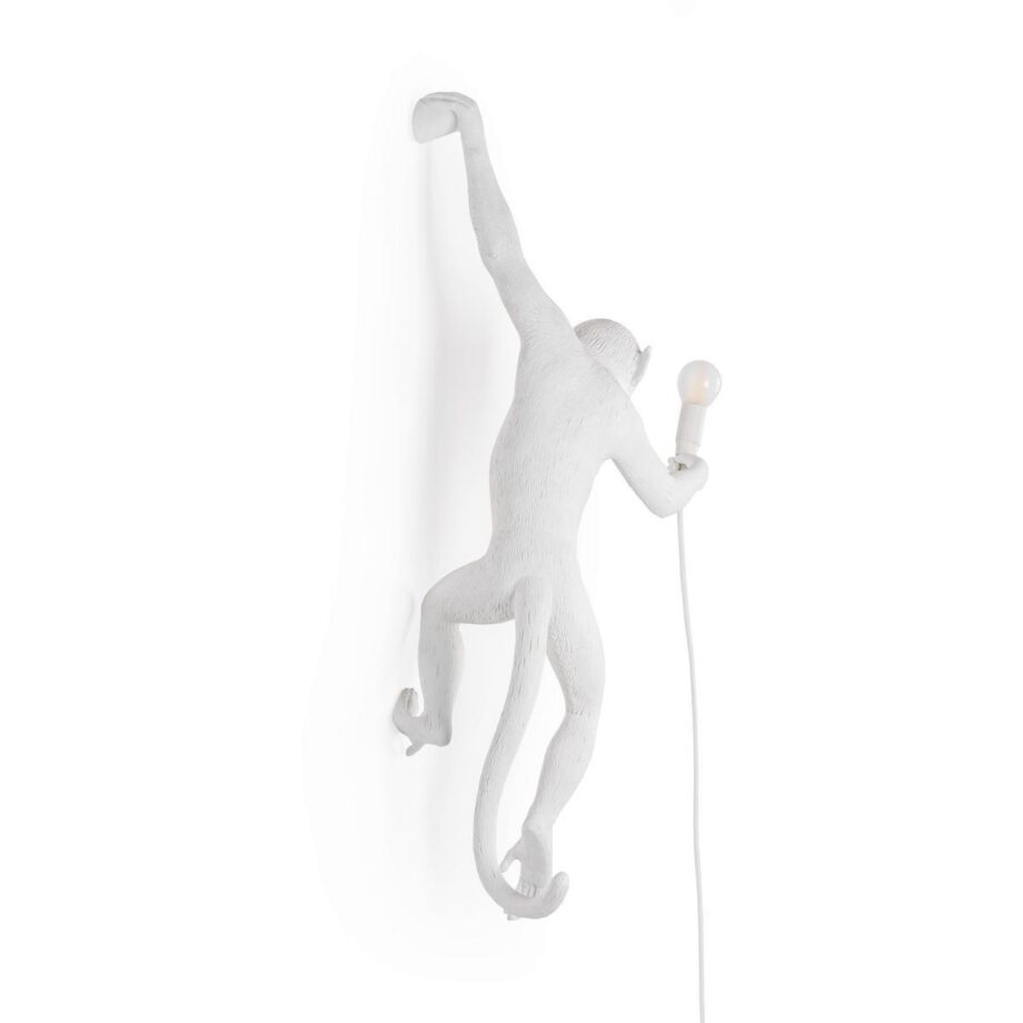 The Monkey Lamp Hanging Outdoor Wall Lamp Seletti