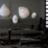 Eden Wall Lamp Karman