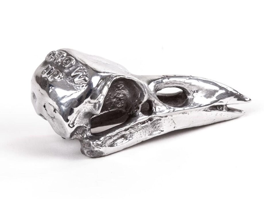 Bird Skull Decorative Object Seletti