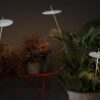 Xana Bollard Light Karman