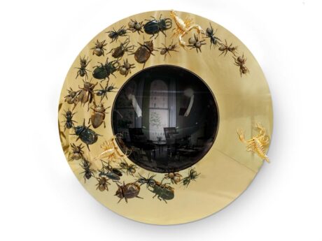 Convex Metamorphosis