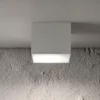 Box Big