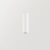 Scope 27 Surface Ceiling Lamp Arkoslight