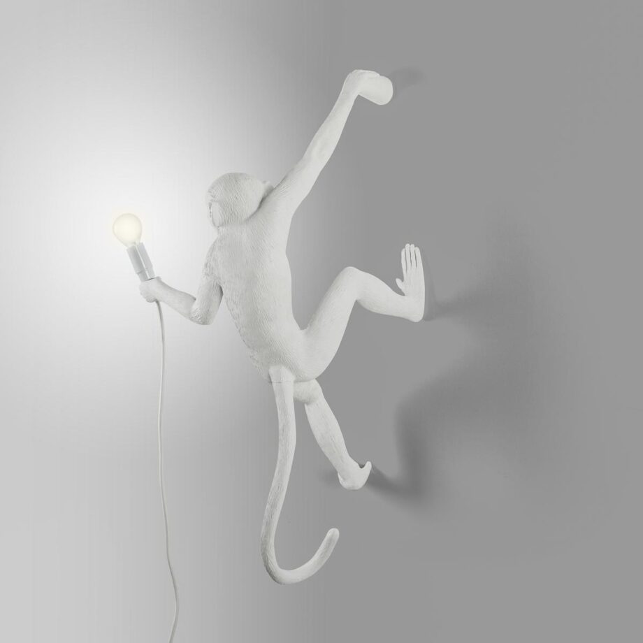 The Monkey Lamp Hanging Outdoor Wall Lamp Seletti