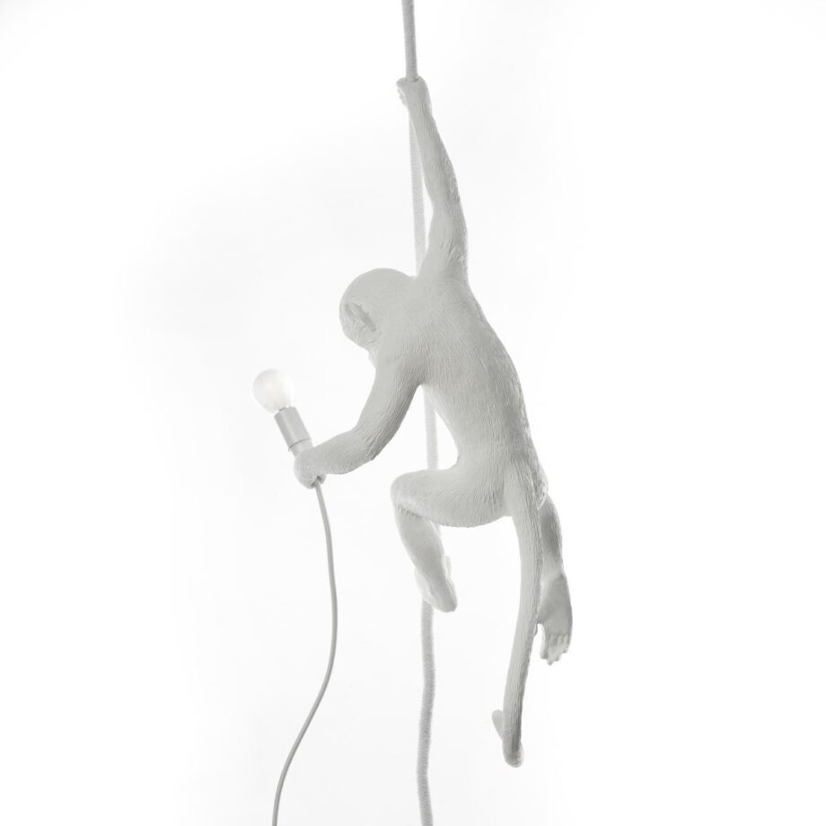 The Monkey Lamp Ceiling Outdoor Pendant Lamp Seletti