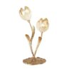Tulipani 319/l2