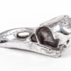 Bird Skull Decorative Object Seletti