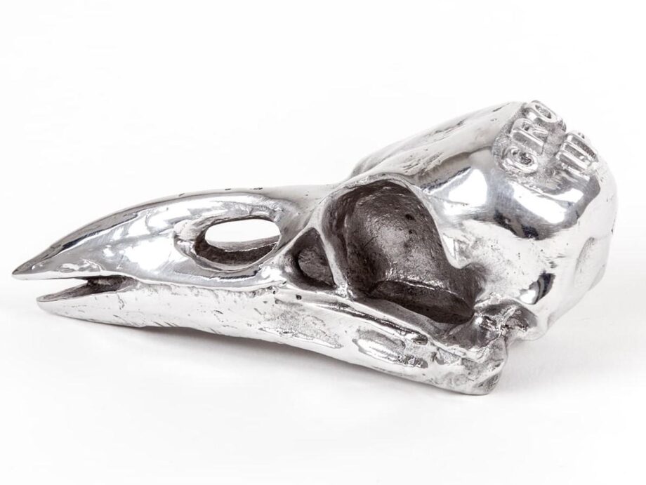 Bird Skull Decorative Object Seletti