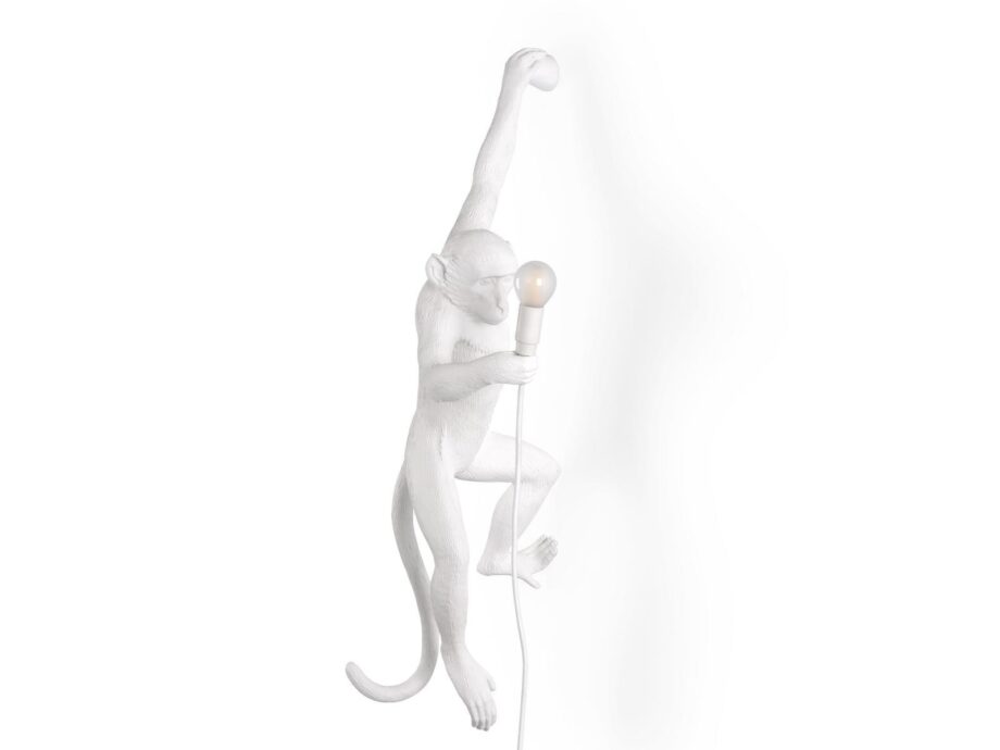 The Monkey Lamp Hanging Outdoor Wall Lamp Seletti