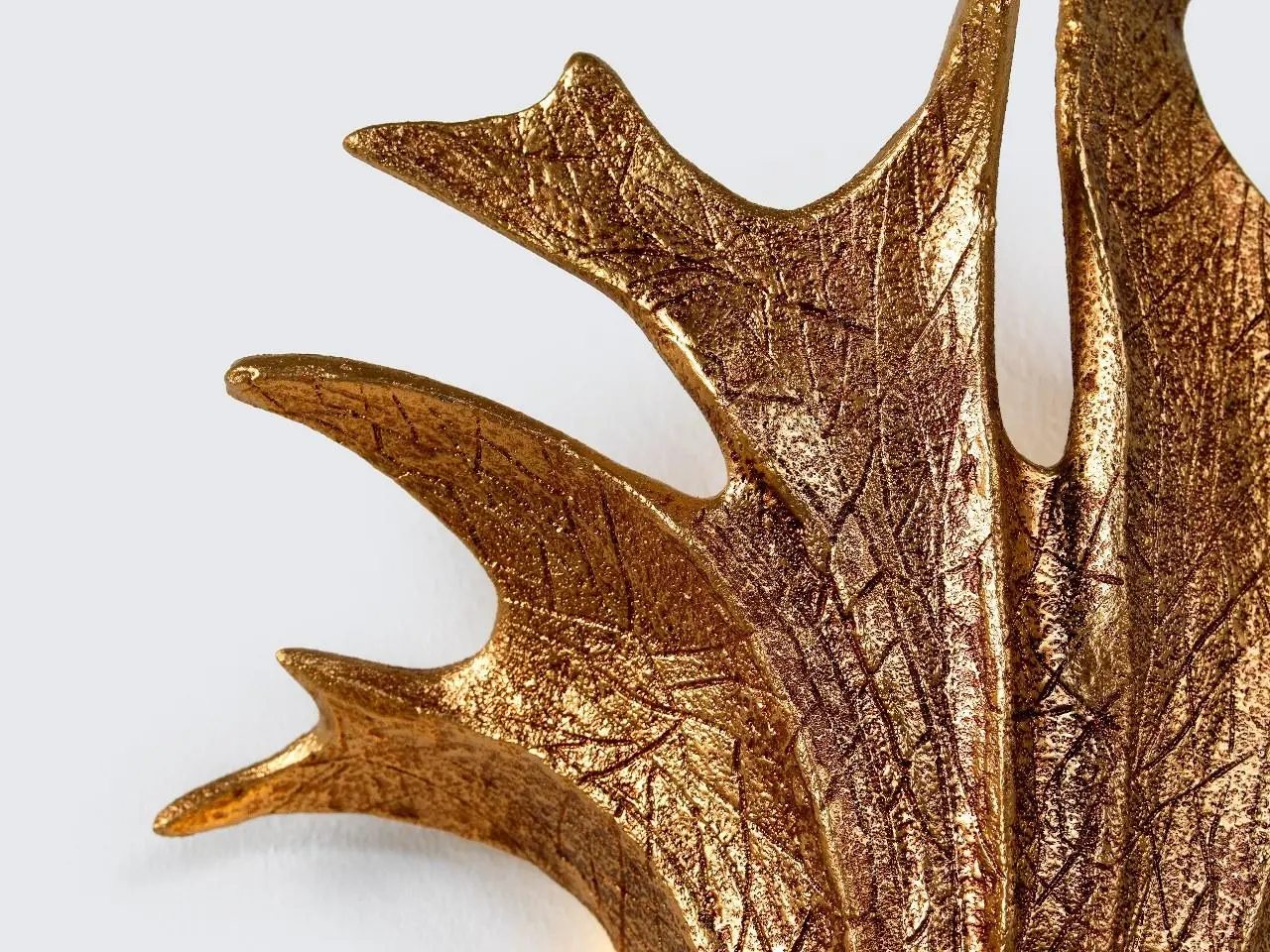 Carpa Carpa Ap1489/r Wall Lamp Serip