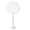 Kuta Table Lamp Nemo