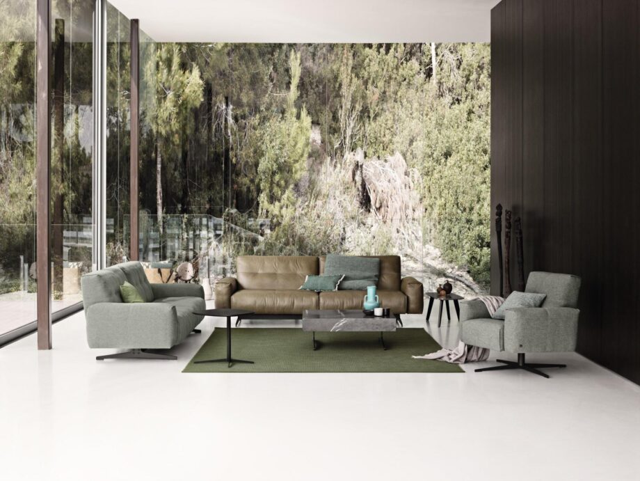 50 Sofa Rolf Benz