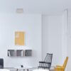 Duo Ceiling Lamp Nemo