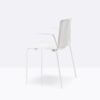 Tweet 895 Chair Pedrali