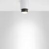 Claque F43 Ceiling Lamp Fabbian