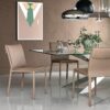 Isabel Chair Cattelan Italia
