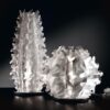 Cactus Prisma Table Lamp Slamp