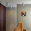 Shadow Surface 220 Spotlight Astro Lighting