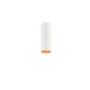 Scope 21 Surface Ceiling Lamp Arkoslight