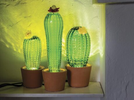 Cactus Sunrise
