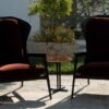 Margaret Armchair Natuzzi Italia
