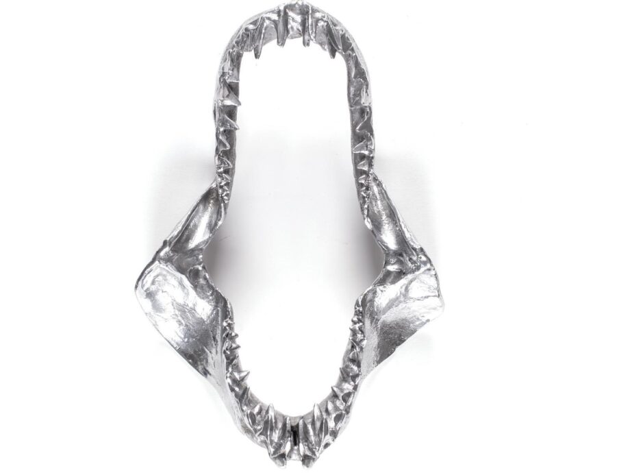 Shark Jaw Decorative Object Seletti