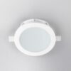 Xgr1206 Spotlight Panzeri