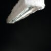 D Rabbit Pendant Lamp Dark