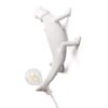 Chameleon Going Up Wall Lamp Seletti