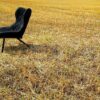Foliage Armchair Kartell