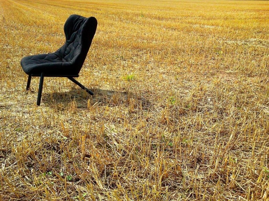 Foliage Armchair Kartell