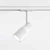Apollo 100 Track Track Light Astro Lighting