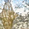 Shadow Floor Lamp Catellani Smith