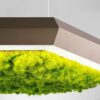 Exagon Silence Green Pendant Lamp Olev