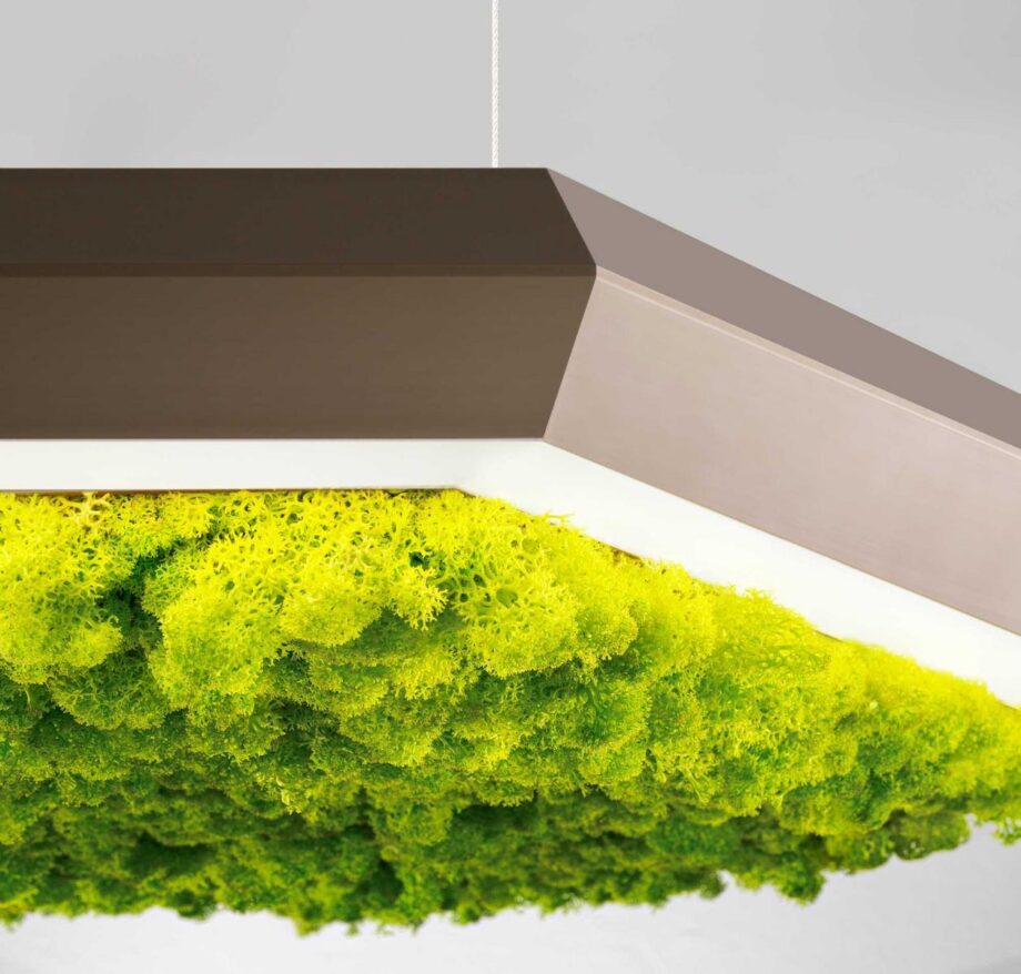 Exagon Silence Green Pendant Lamp Olev