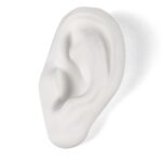 Ear
