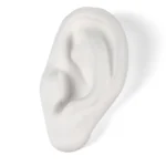 Ear