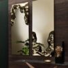 Venere Mirror Riflessi