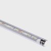 Miniflux Transparent Lighting Profile Nemo