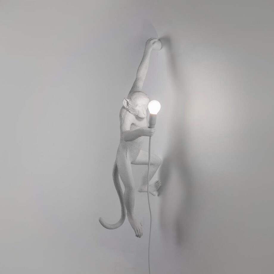 The Monkey Lamp Hanging Outdoor Wall Lamp Seletti