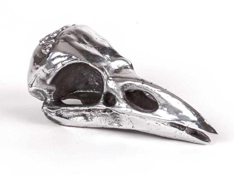 Bird Skull Decorative Object Seletti
