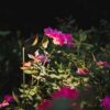 Zoe Outdoor Floor Lamp Olev