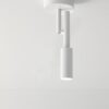 Tubino Ceiling Lamp Panzeri