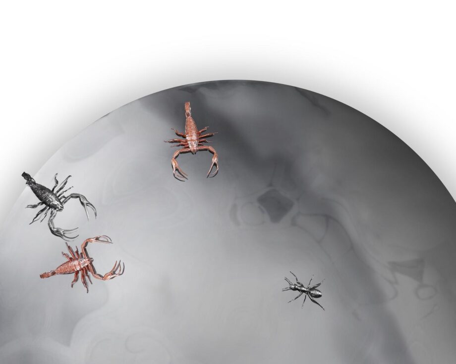Concave Metamorphosis Mirror Boca Do Lobo