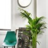 Loola Wall Lamp Zava