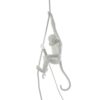 The Monkey Lamp Ceiling Outdoor Pendant Lamp Seletti