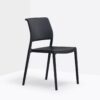 Ara 310 Outdoor Chair Pedrali