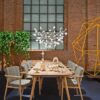 Zio Dining Chair Chair Moooi